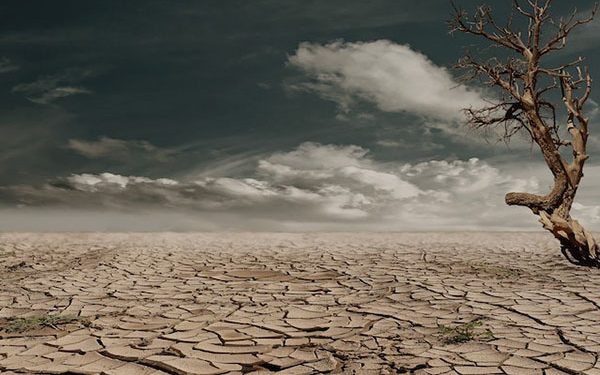 Can blockchain help alleviate the effects of drought